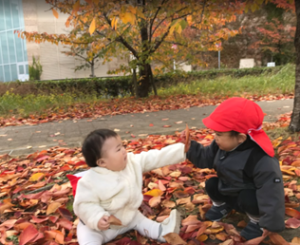 落ち葉で遊ぶ園児