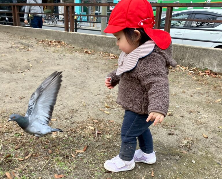 公園 外遊び 冬 園児