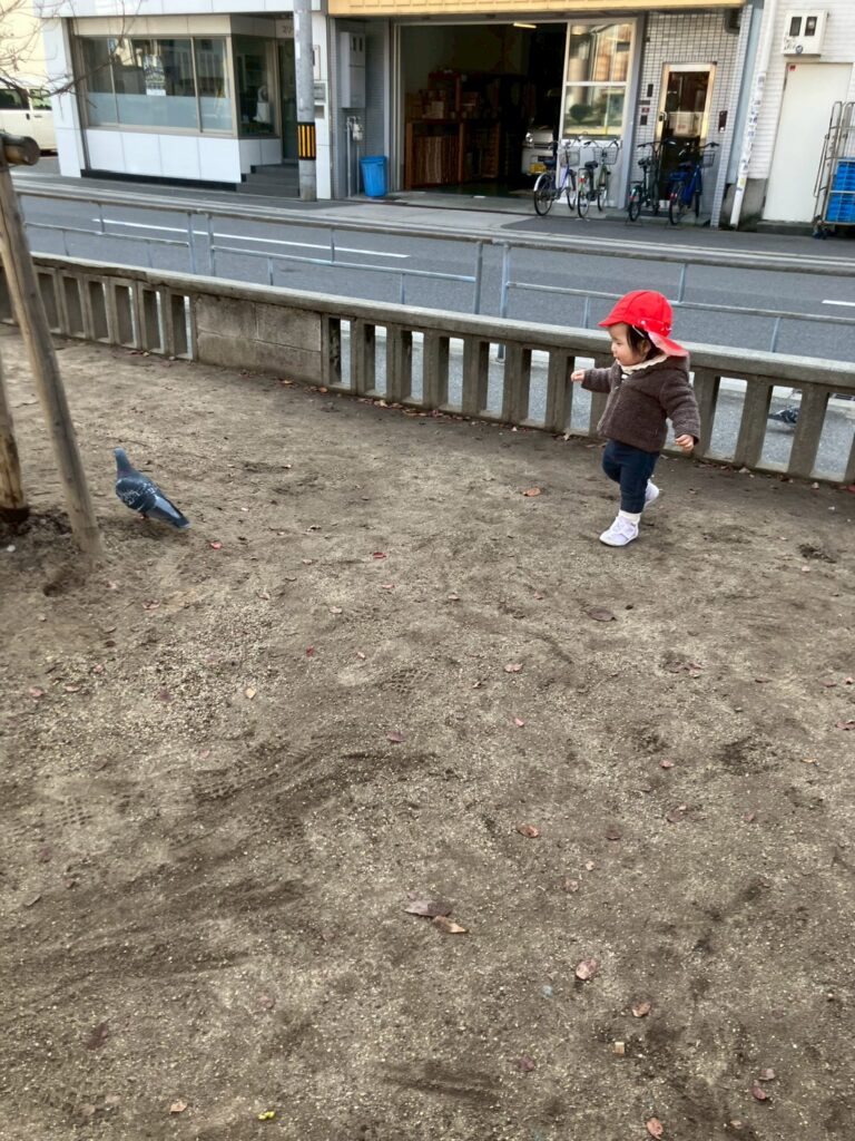 鳩を追いかける園児