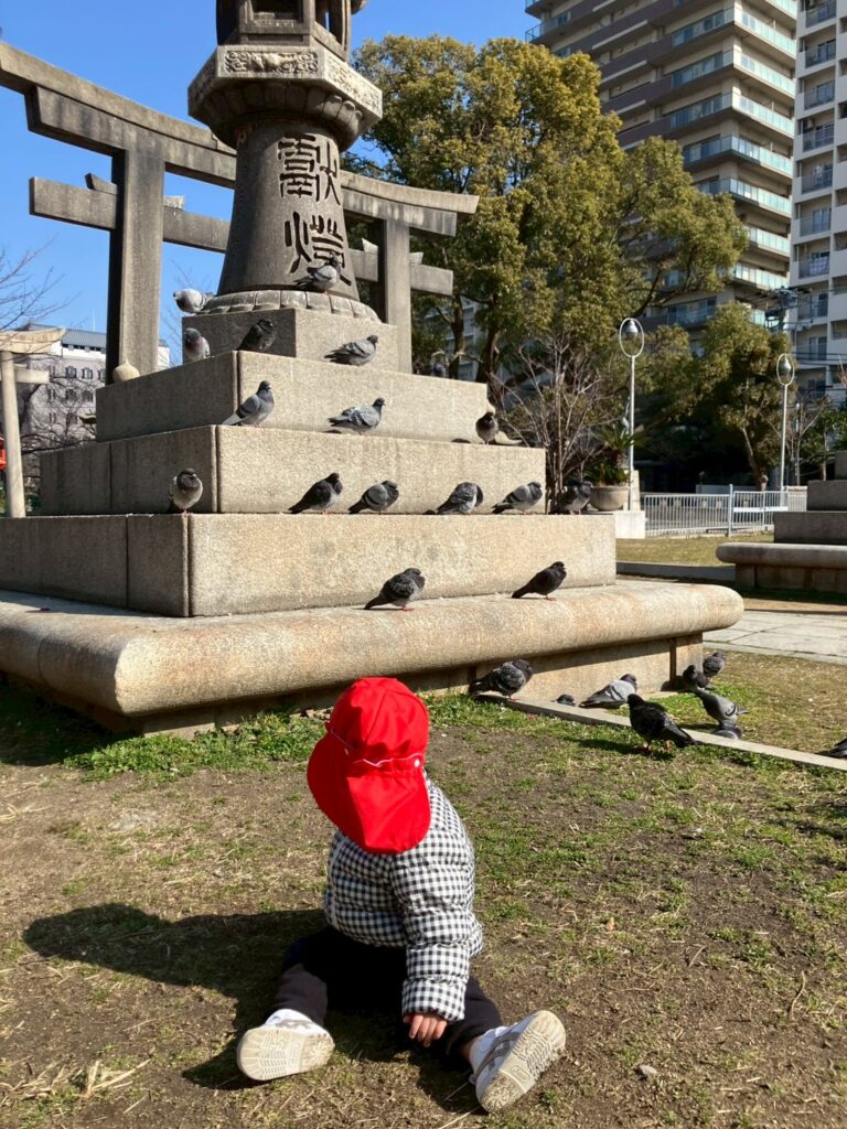 土佐稲荷公園でハトに興味津々な園児