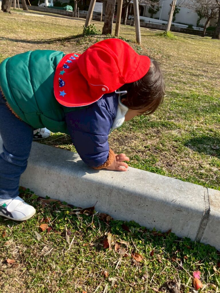 土佐稲荷公園の芝生で何かを見つけた園児