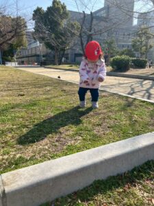 冬の公園で葉っぱに夢中な園児