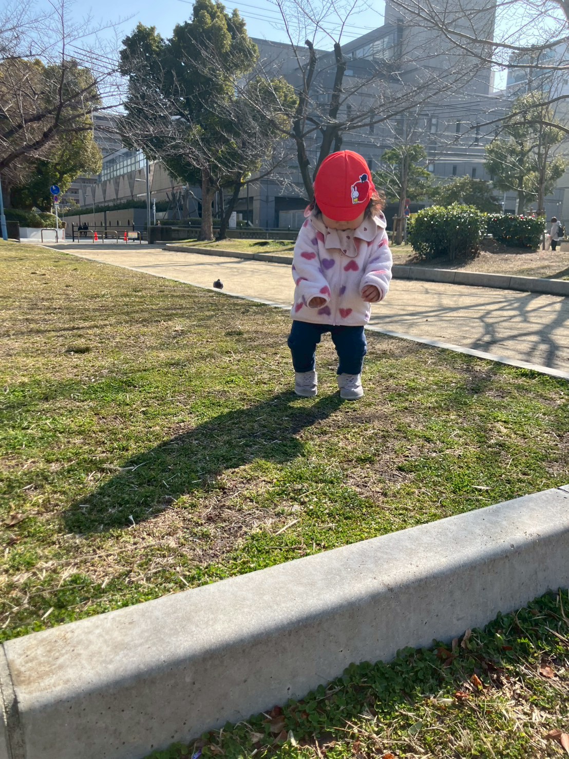 冬の公園で葉っぱに夢中な園児