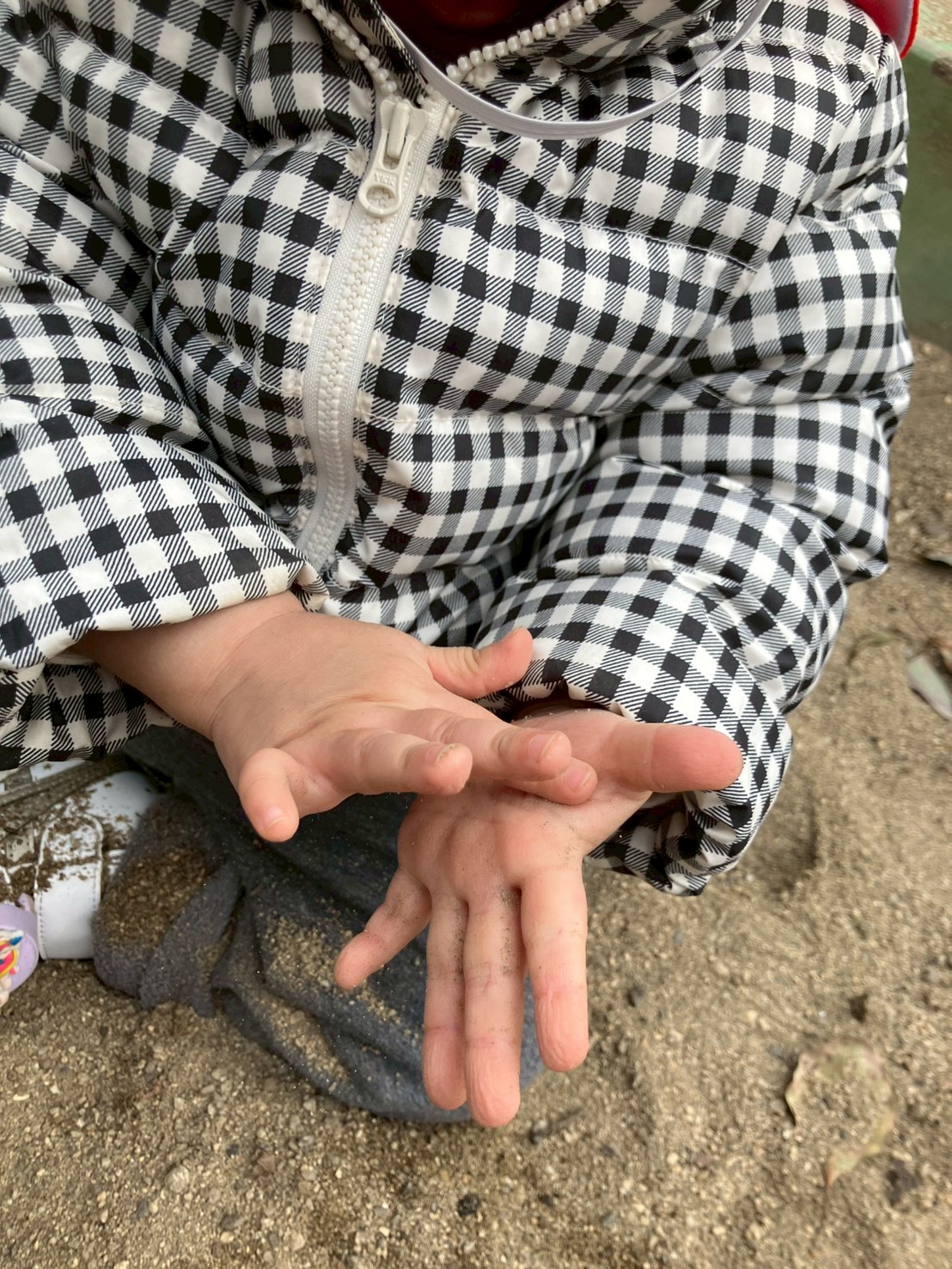 冬の公園遊びを行う園児