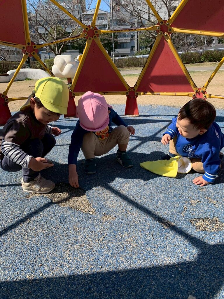 公園の地面が気になる園児たち