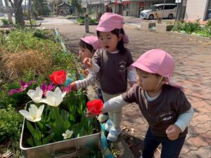 一時保育の子と一緒に遊ぶ園児たち