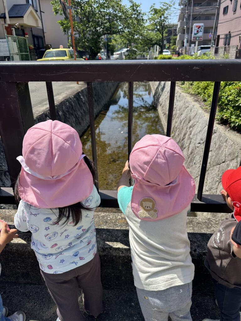 甲子園口の街にある橋から川を眺めるPEEK A BOO 保育園の園児たち