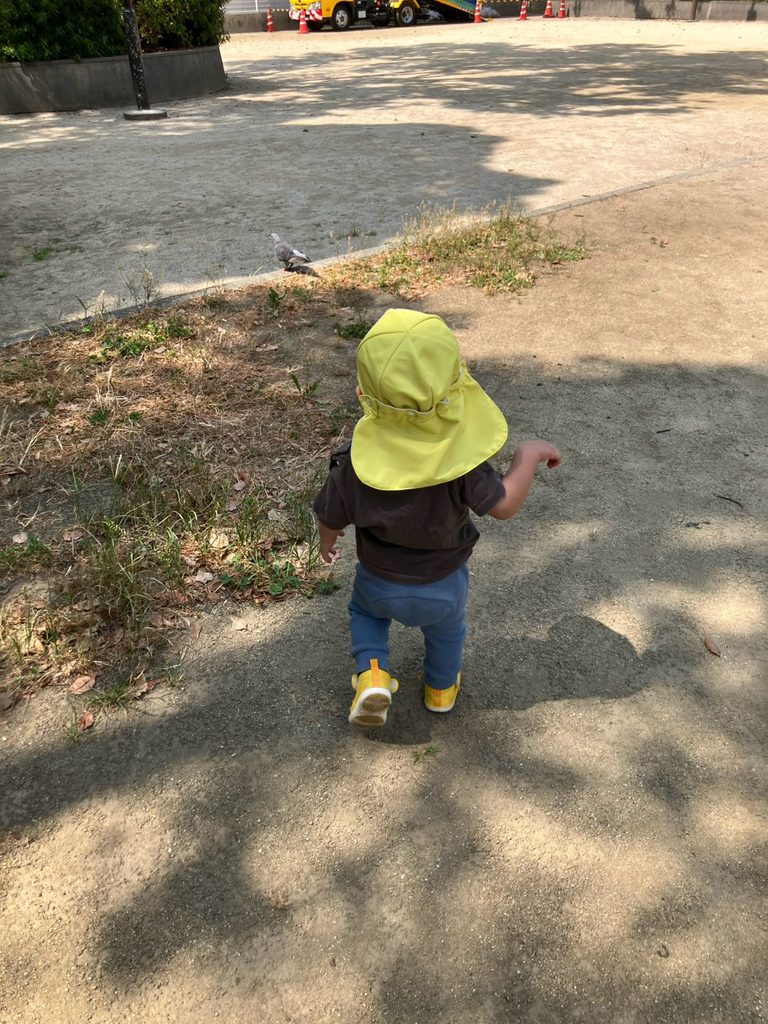 南堀江の公園でハトを追いかける園児