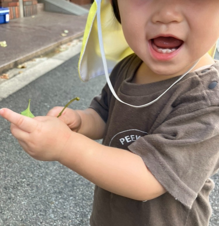 PEEK A BOO保育園 南堀江の園児が散歩中に見つけた葉っぱで喜ぶ姿